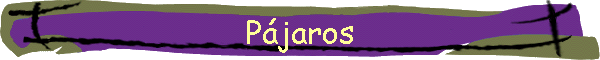 Pjaros